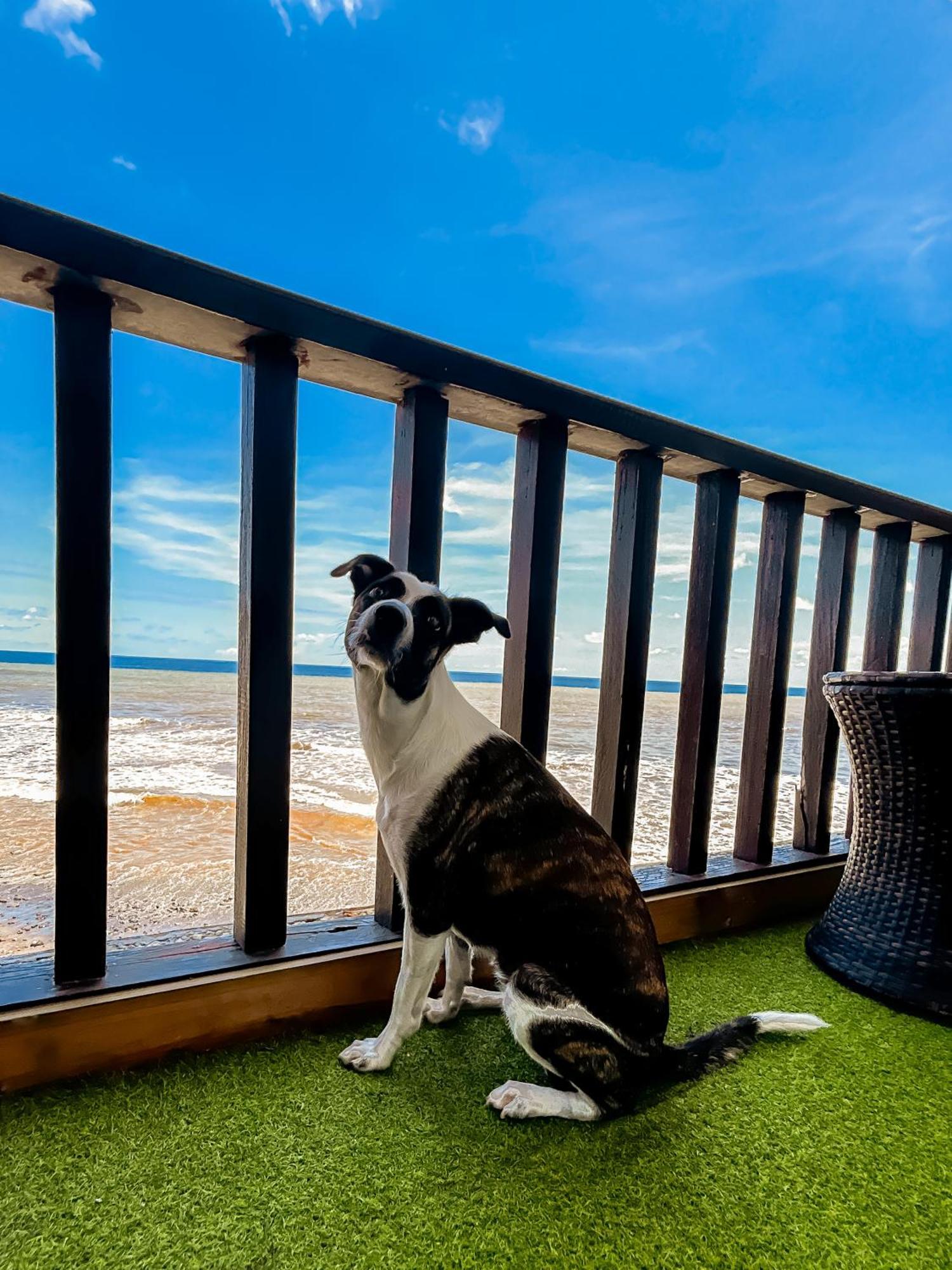 Apartamento Sunset Views - Acogedor Con Vista Al Mar La Libertad Exterior foto